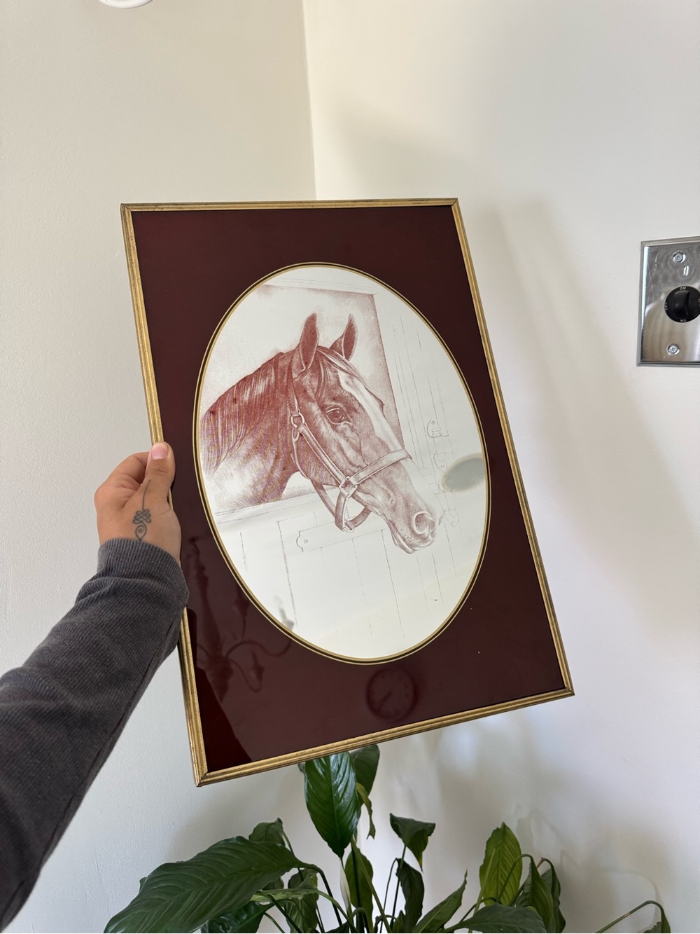 Horse in stable mirror